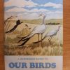 A Beginners Guide to OUR BIRDS