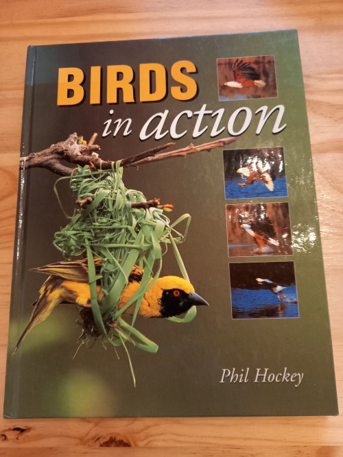 BIRDS in action by Phil Hockey (1996)