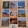 Beeldprag van Suider-Afrika deur David Bristow (1ste uitgawe 1988)