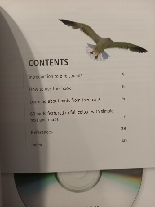 Bird calls for beginners - Doug Newman 2008