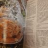 Buitelugetes_deur_Rina_Pont_6 Buitelugetes deur Rina Pont