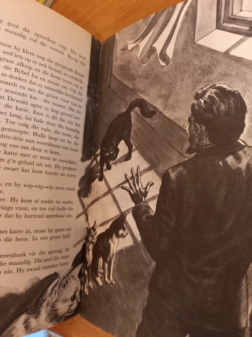 Die Twee Broers en ander Afr Kampvuurstories deur Pieter W Grobbelaar (1ste uitgawe 1971)