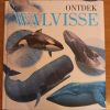 Die_Wonder_van_leer_ONTDEK_WALVISSE_(2013)_1 Die Wonder van leer ONTDEK WALVISSE (2013)