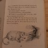 Diere se Dinge deur Aletta Lubbe (1ste uitgawe 1973)