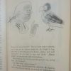 Dokter_Dinkel_van_die_Ou-Kaap_-_Pieter_W_Grobbelaar_1971_7 Dokter Dinkel van die Ou-Kaap - Pieter W Grobbelaar 1971