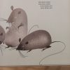 Drie blinde maats - Gunter Komnick 1990