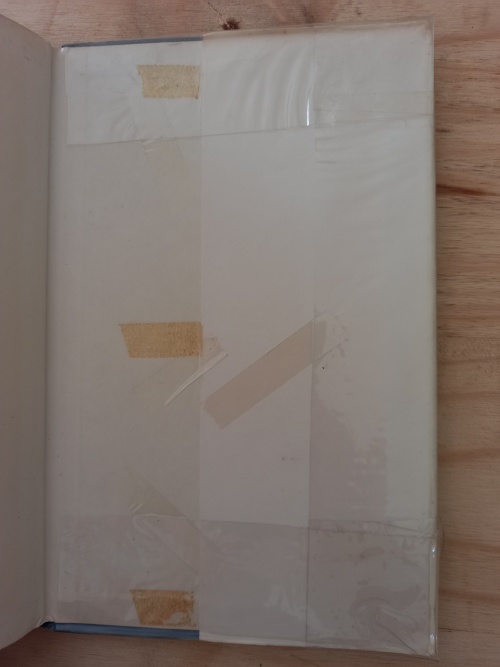 Fanie die Vlieer deur Topsy Smith (1ste uitgawe 1967)