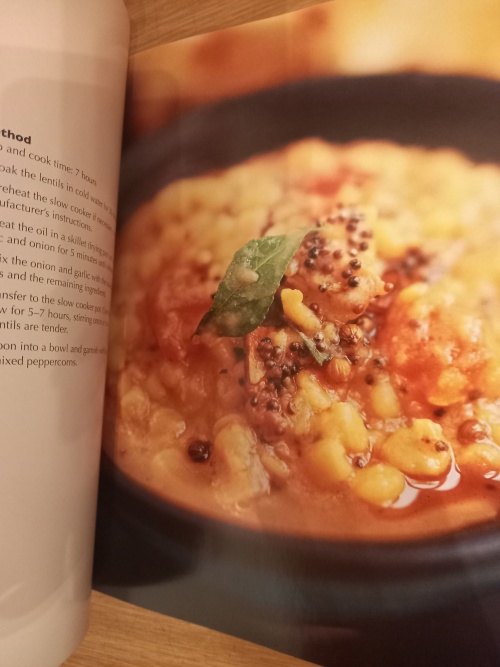 Food Lovers Slow Cooker