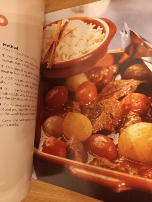 Food Lovers Slow Cooker