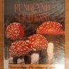 Fungi and Lichens