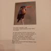 Game Parks & Nature Reserves of Southern Africa (1983)