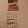 Game Parks & Nature Reserves of Southern Africa (1983)