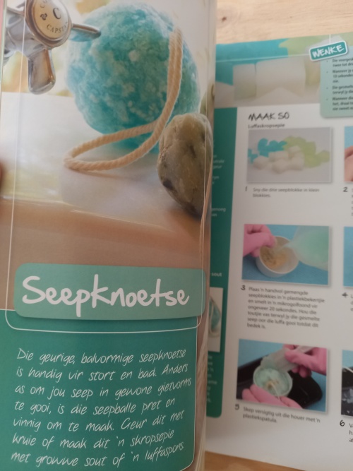 Handwerk vir die Huis deur Annine van Reenen