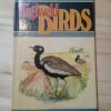 Highveld birds pocket guide - Ian Sinclair-Douglas Goode (1987)