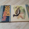 Highveld birds pocket guide - Ian Sinclair-Douglas Goode (1987)