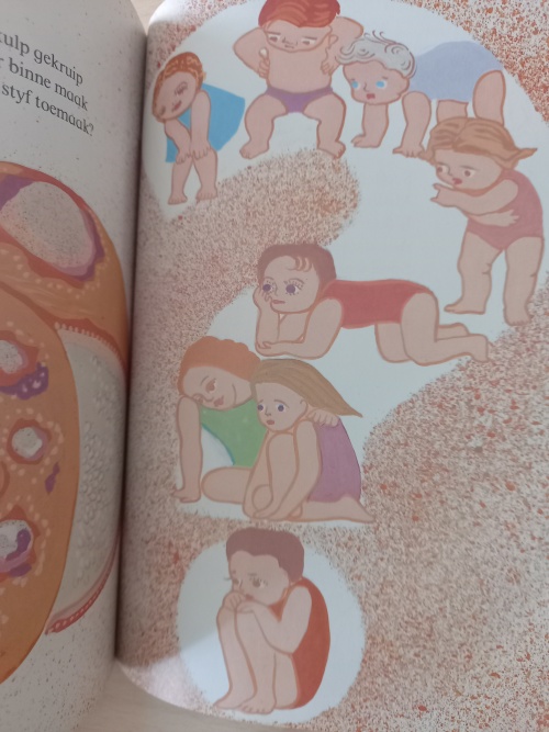 Hoor, hoor wat s die skulp se oor Deur Nanda Pauw ( Daan Retief Uitgewers 1988)