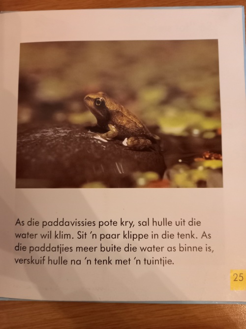Jou eie Minidier - Paddas
