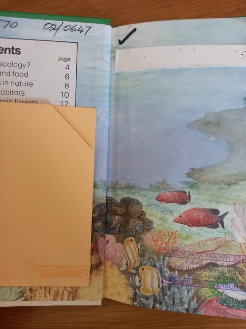 Ladybird_Learners_-_Ecology_(1991)_3 Ladybird Learners - Ecology (1991)