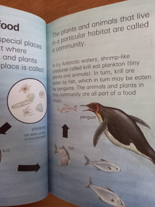 Ladybird_Learners_-_Ecology_(1991)_5 Ladybird Learners - Ecology (1991)