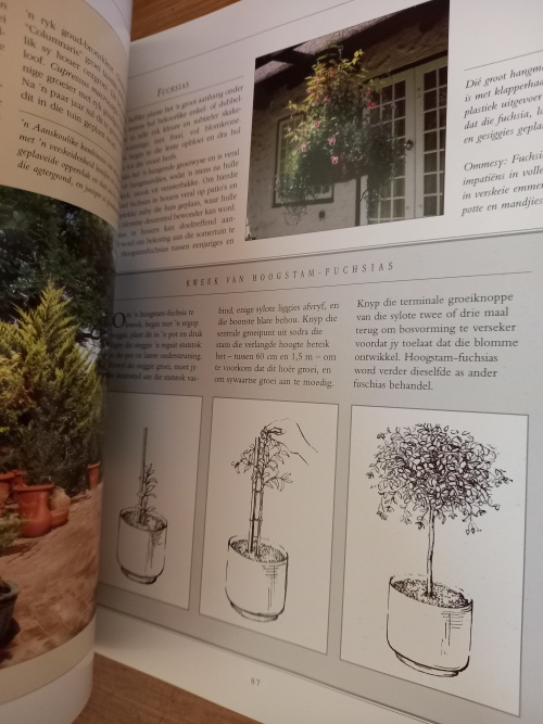 Maak tuin in Houers - Nancy Gardiner