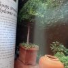 Maak tuin in Houers - Nancy Gardiner
