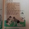 Pierewiet-reeks Sub A 2de aanvullende boek by boek 1 - DIE KAT (8ste druk 1994)