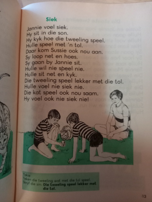 Pierewiet-reeks Sub A 2de aanvullende boek by boek 1 - DIE KAT (8ste druk 1994)