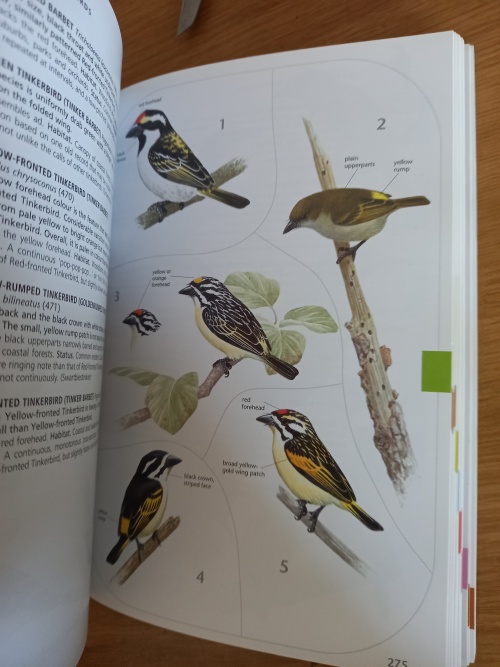 Sasol Birds of Southern Africa (3rd Edition) by Ian Sinclair/Phil Hockey/Warwick Tarboton