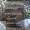 Small Gardens for South Africa - Michele Terblanche