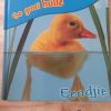 So groei hulle - Eendjie