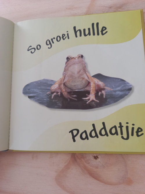 So groei hulle - Paddatjie