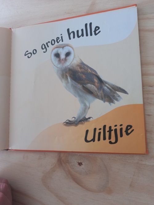 So_groei_hulle_-_Uiltjie_4 So groei hulle - Uiltjie