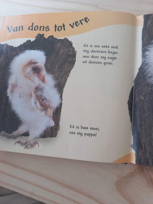 So_groei_hulle_-_Uiltjie_5 So groei hulle - Uiltjie