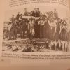 South African Despatches by Jennifer crwys-Williams (1989)