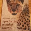 Southern Africa Spectacular world of wildlife