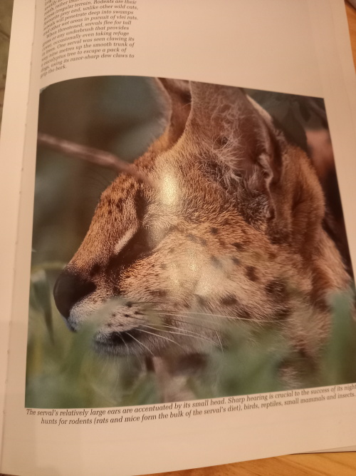 Southern Africa Spectacular world of wildlife
