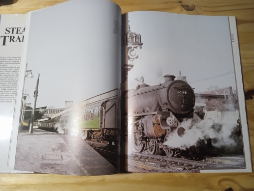 Steam trains - Bernard Fitzsimons (1992)