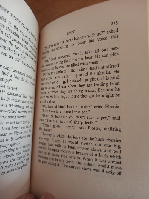 The Bobbsey Twins Nr 27_5 The Bobbsey Twins Nr 27: Solve a Mystery by Laura Lee Hope (1934)