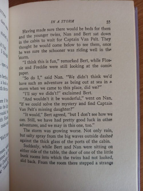 The Bobbsey Twins Nr 27_6 The Bobbsey Twins Nr 27: Solve a Mystery by Laura Lee Hope (1934)