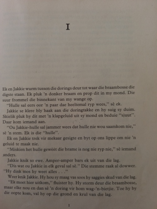 Twee Mandjies Brame deur Doris Buchanan Smith (1ste uitgawe 1979)