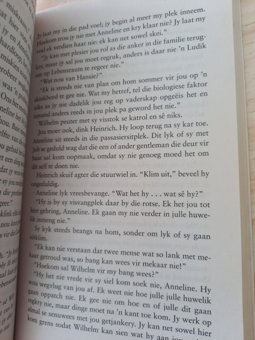 Wilde Lote deur Jaybee Roux (2008)