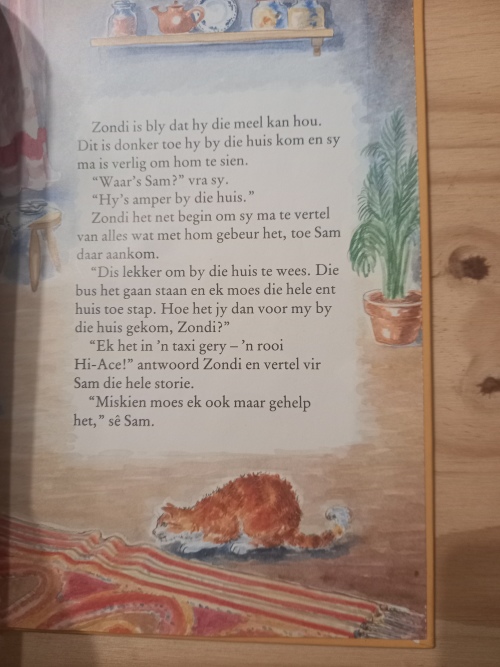 Zondi se eerste taxi-rit - Dianne Stewart 1991