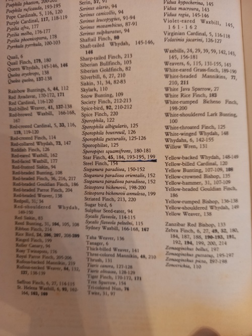 All About Finches and Related Seed-Eating Birds - Ian Harmn/Dr Matthew Vriends