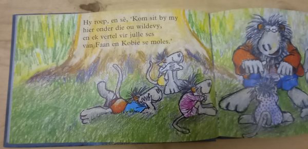 Kobie en Faan se reis na die Maan - Es van den Heever (1980)