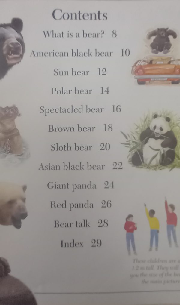 Amazing bears (Amazing worlds series) - Theresa Greenway (1992)