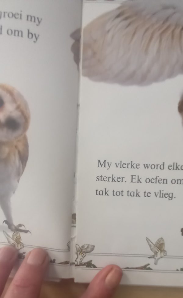 Uil So groei hulle reeks - Mary Ling (1992)