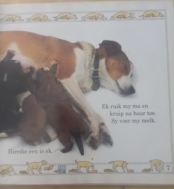 Hondjie So groei hulle reeks - Angela Royston (1991)