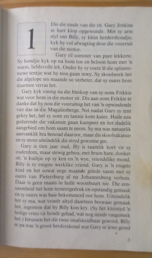 Gary se wilgeavontuur - Kay Esnouf (1987)