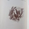 Ken jy die kierangbos - Freda Linde (1988)