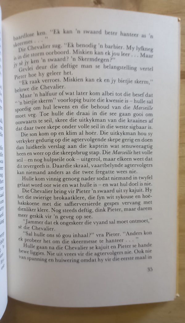 20240902_101836 Seun van die Rapier - Wille Martin (1985)
